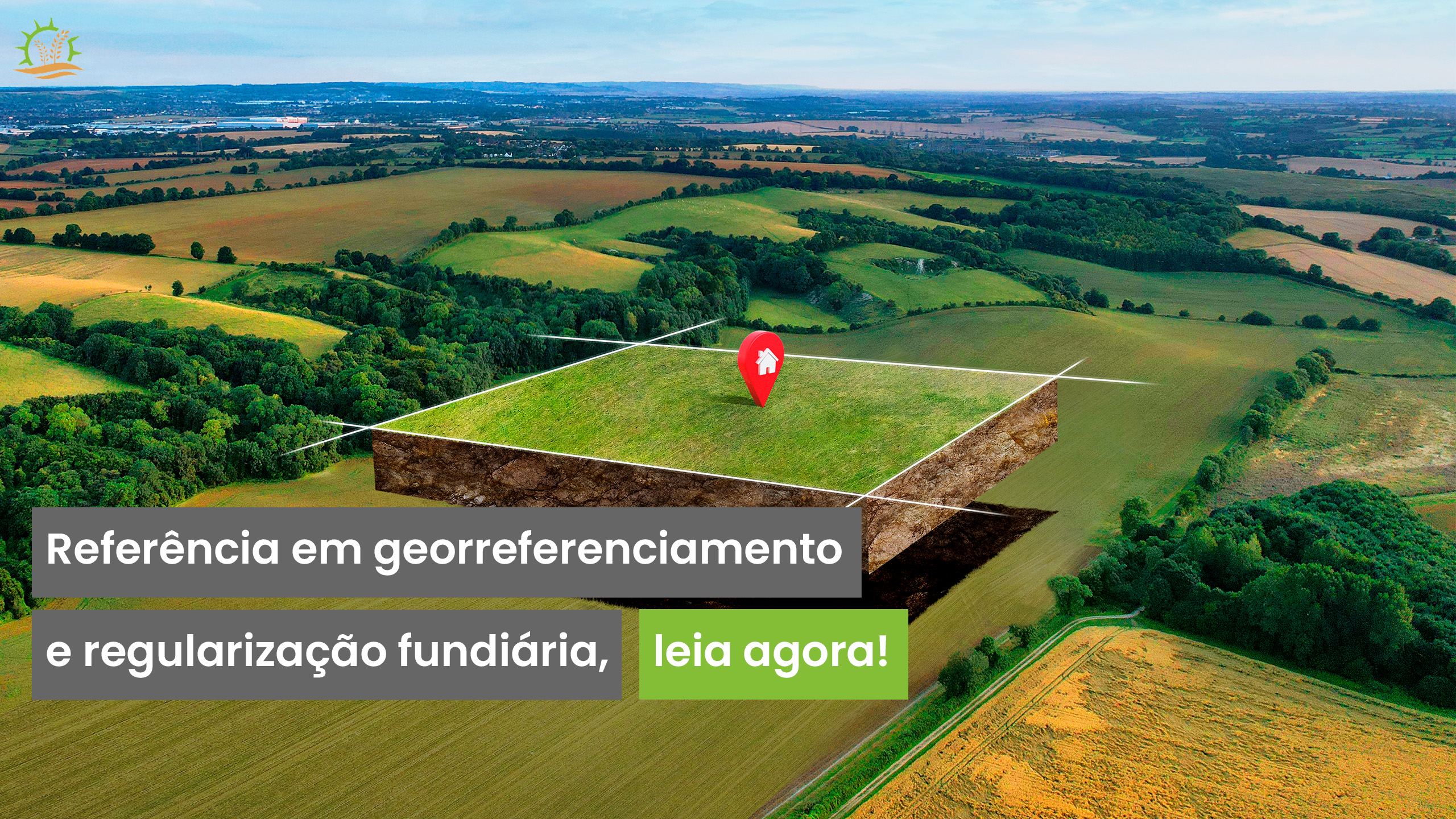 ARTE 1.jpg